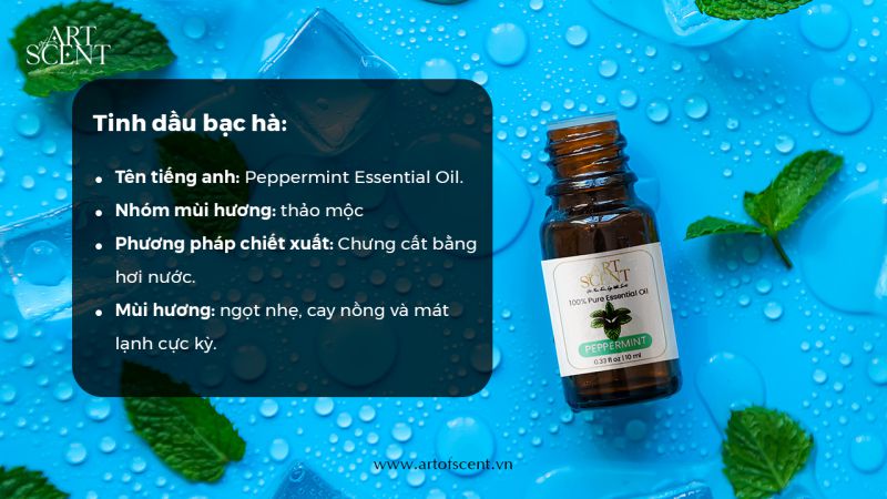 tinh dầu bạc hà peppermint essential oil là gì