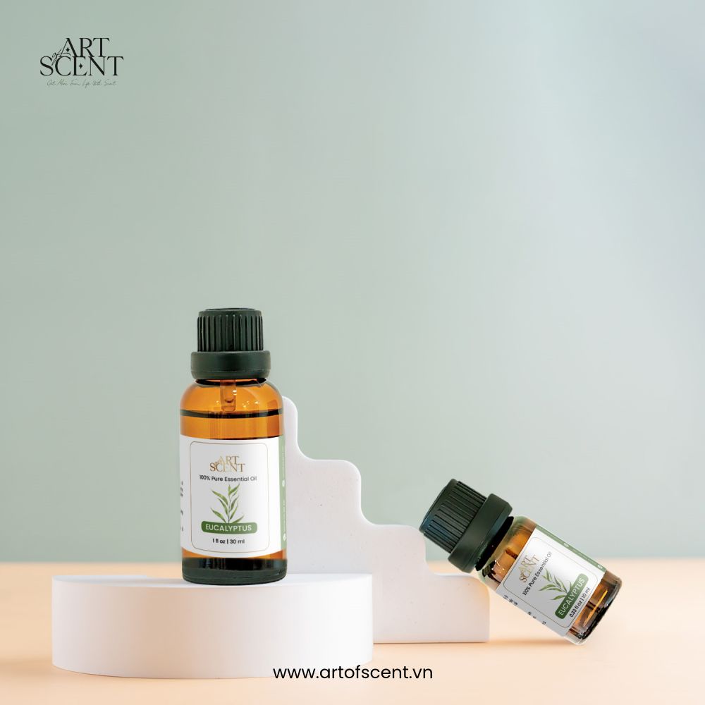 Tinh dầu khuynh diệp eucalyptus essential oil Art of Scent