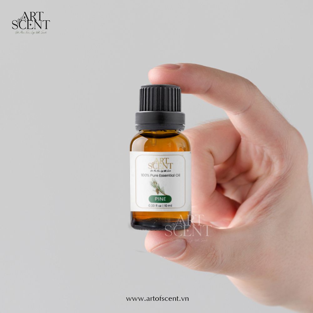 Tinh Dầu Gỗ thông trắng (White Pine Essential Oil) Art of Scent