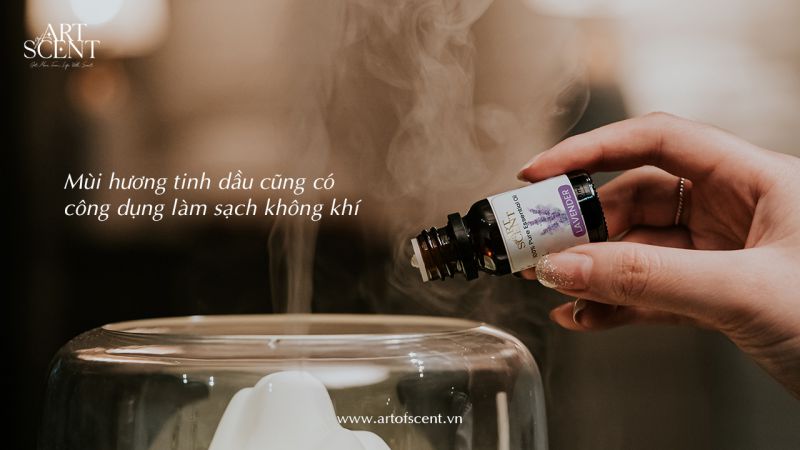 Mùi hương tinh dầu có công dụng làm sạch không khí