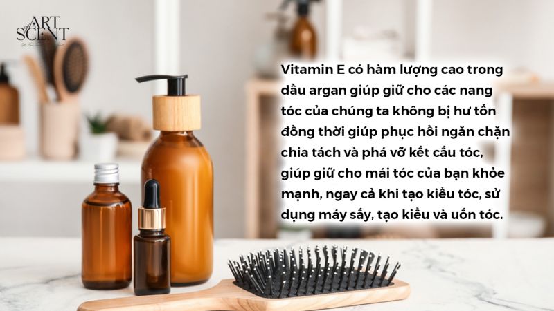 Công dụng của dầu argan ngăn ngừa gãy rụng và bảo vệ tóc