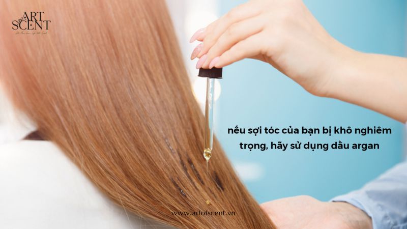 dầu argan oil giúp giảm hư tổn của tóc