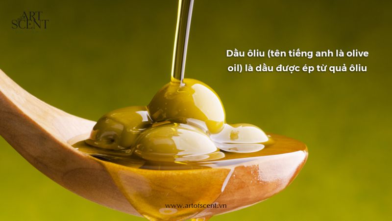 dầu ôliu olive oil là gì
