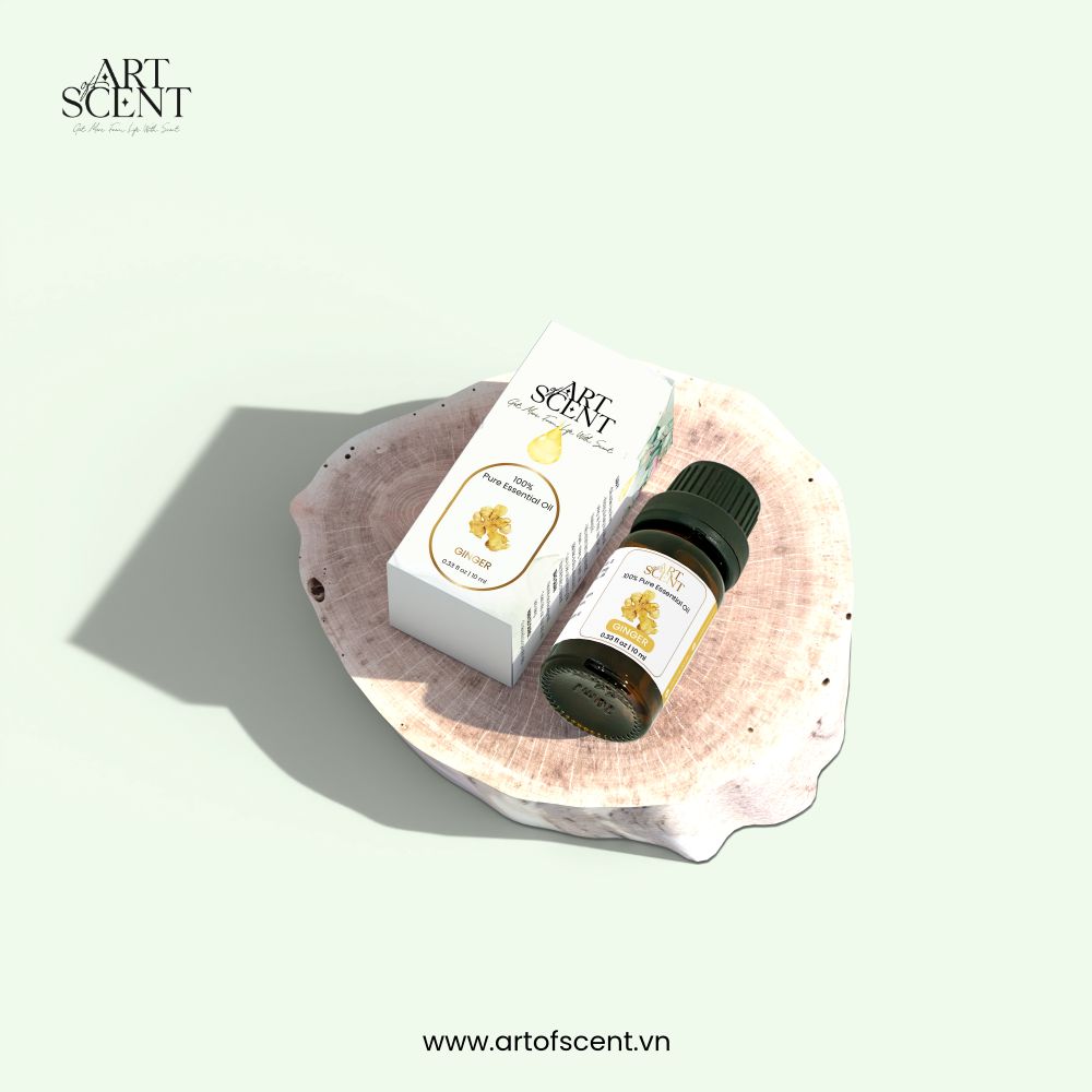 Tinh dầu gừng 10ml ginger essential oil Art of Scent