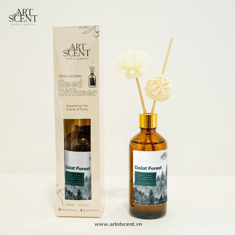 Tinh dầu khuếch tán thơm phòng mùi Đà Lạt – Dalat Forest Diffuser